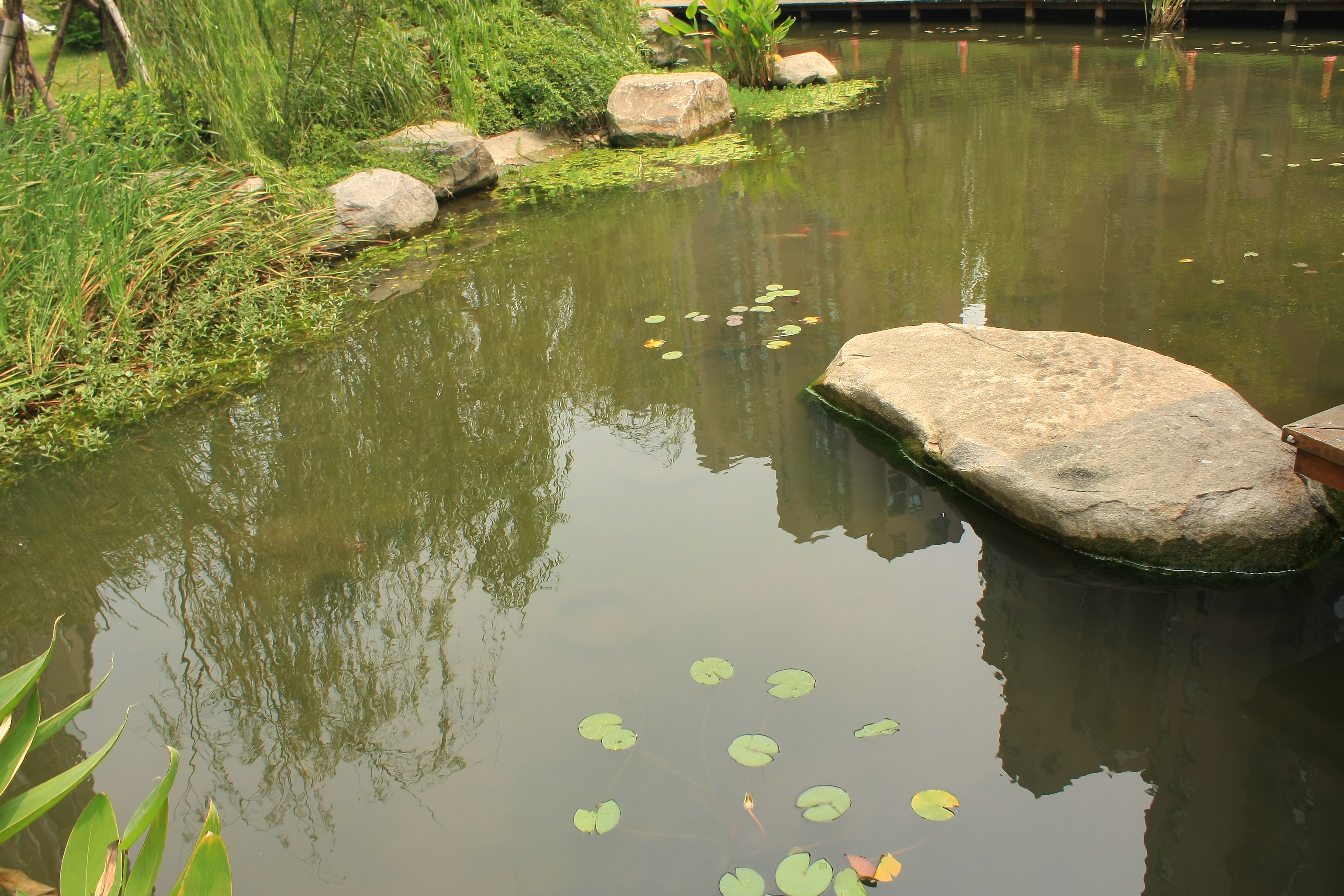 凯德视界小区实景 23