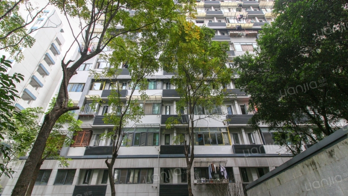 大石坝新兴村外景图