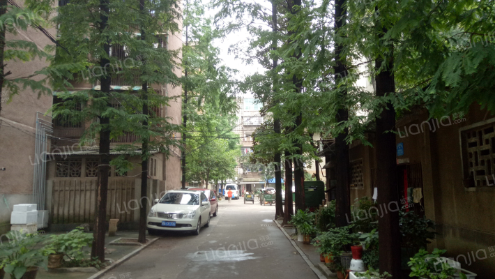 望月湖小区一片区外景图