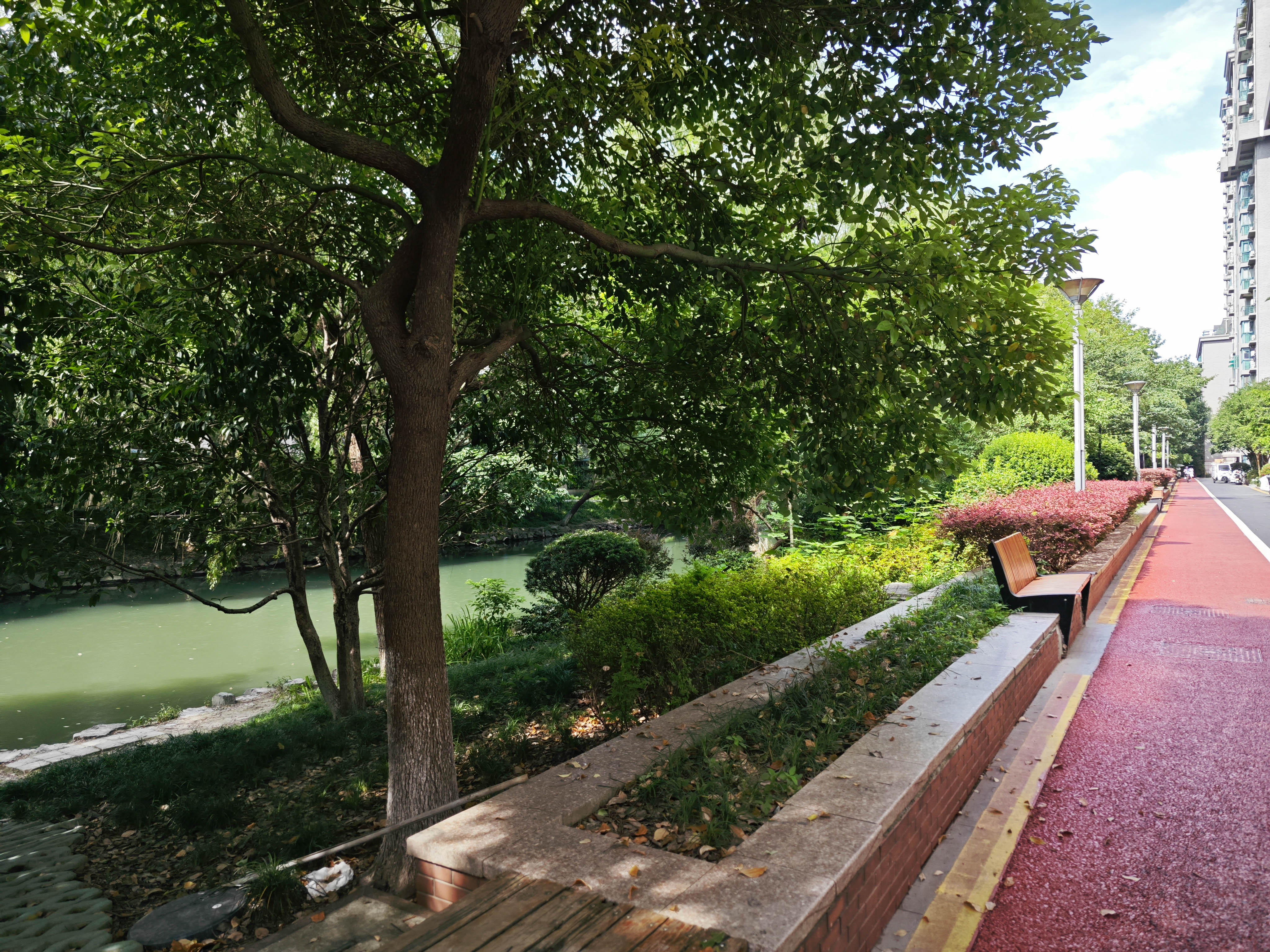 浅水湾城市花园小区实景 26