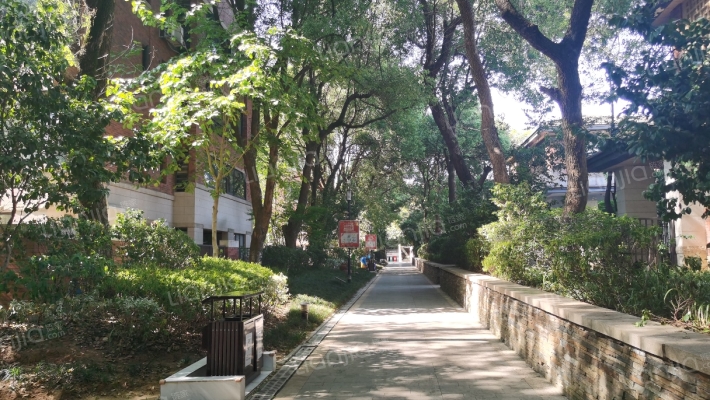 万科润园外景图