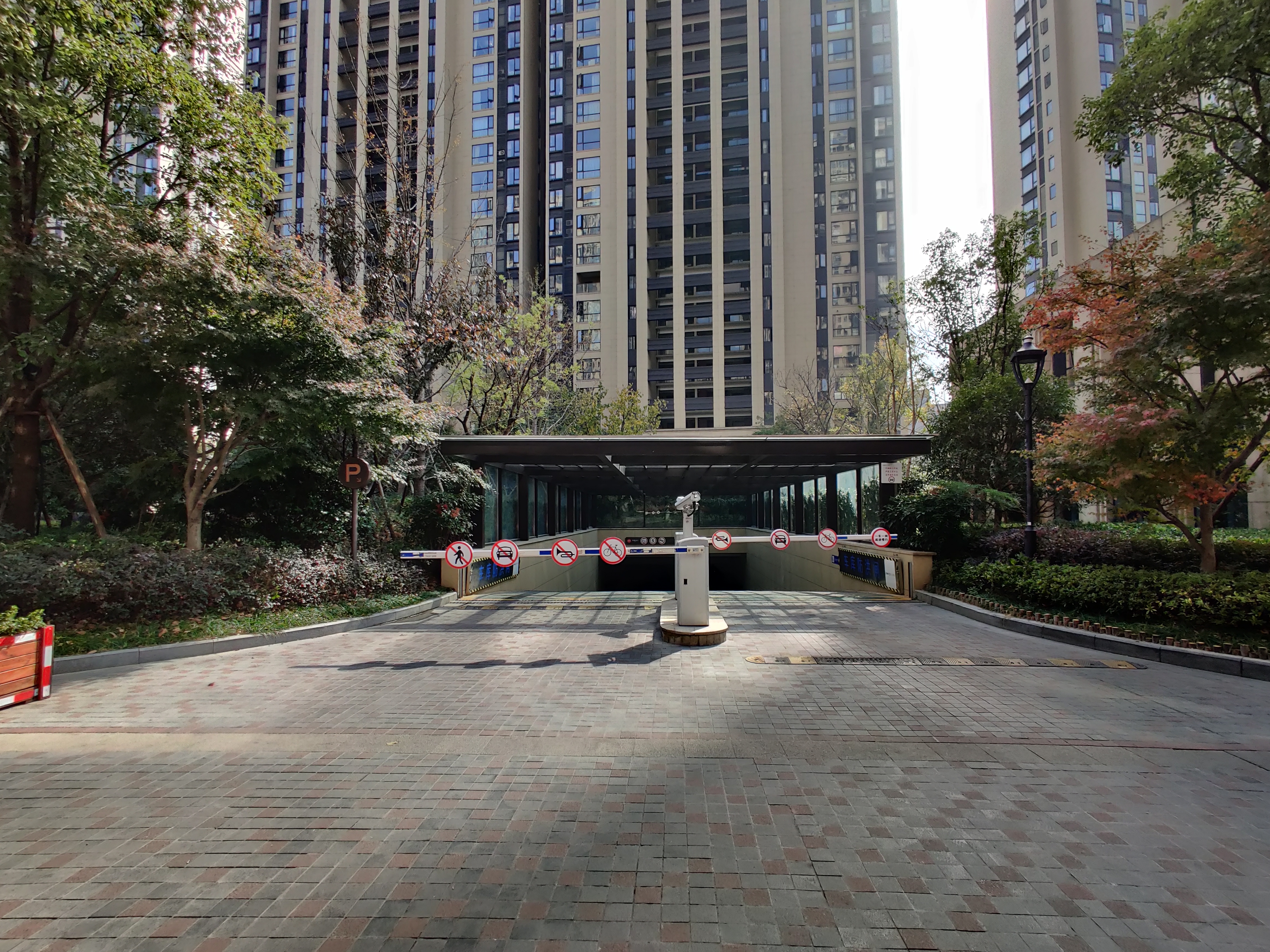 Jin Mao Yue compound photo 15