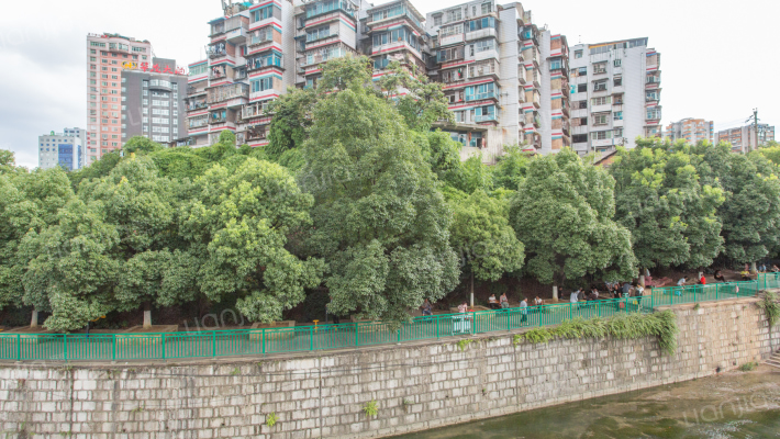 柳湾小区外景图