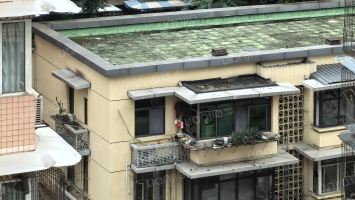 青莲下街56号外景图