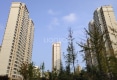 翠湖佳园北一区户型图实景图