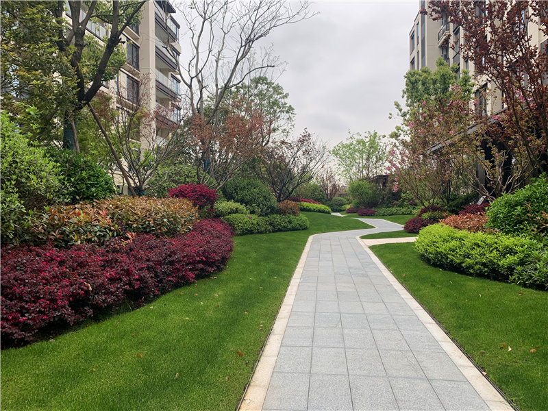 LvDouYueLanFu compound photo 6