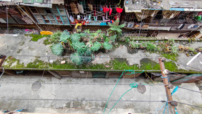 玉树新村外景图