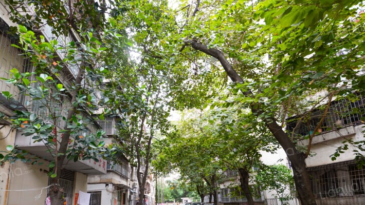 南油生活A区外景图