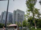 星宸国际实景图