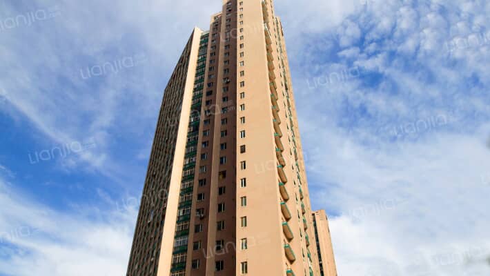 花香维也纳外景图