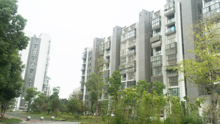 宜家国际公寓外景图