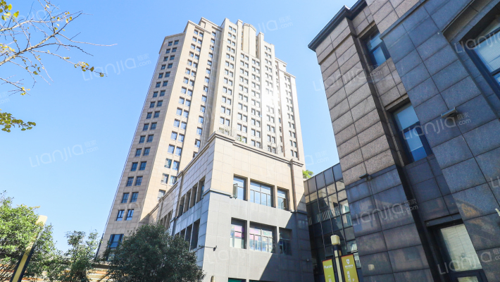 商城·凤凰印象Plus公馆外景图