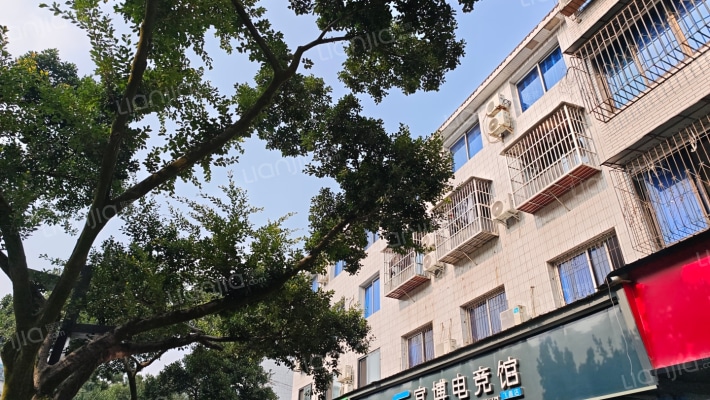 廖家政府宿舍外景图