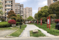 聚缘南庭户型图实景图