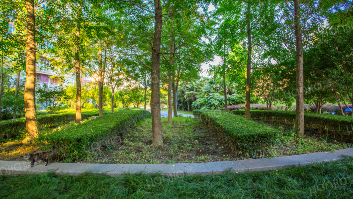 金色维也纳(公寓)外景图