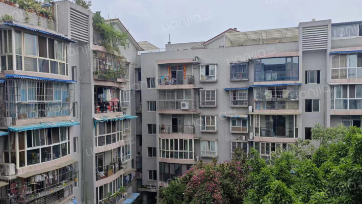 毗河雅苑外景图