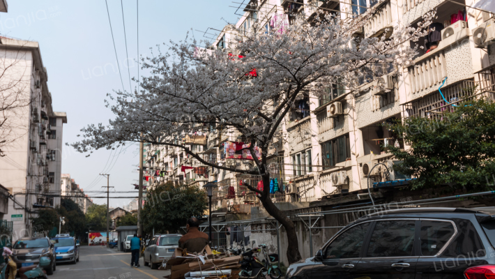 长江路28弄外景图