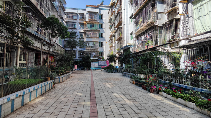 东方小区D区外景图