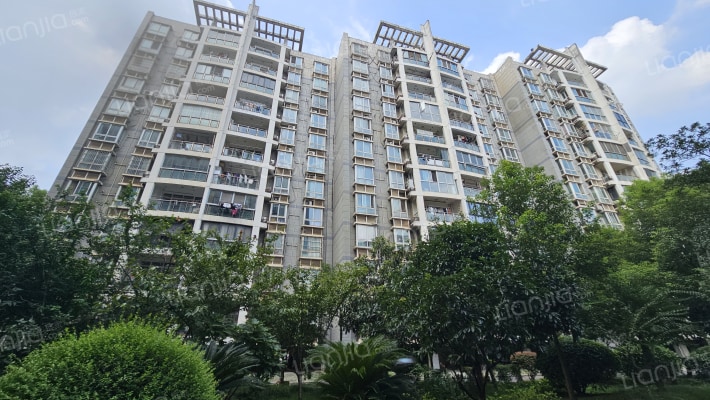 沙湖金港苑外景图