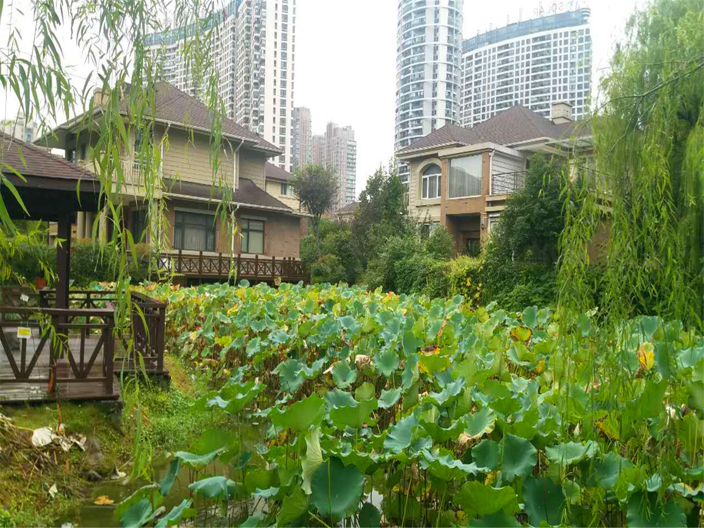 Guo Xin Jia Yuan compound photo 18
