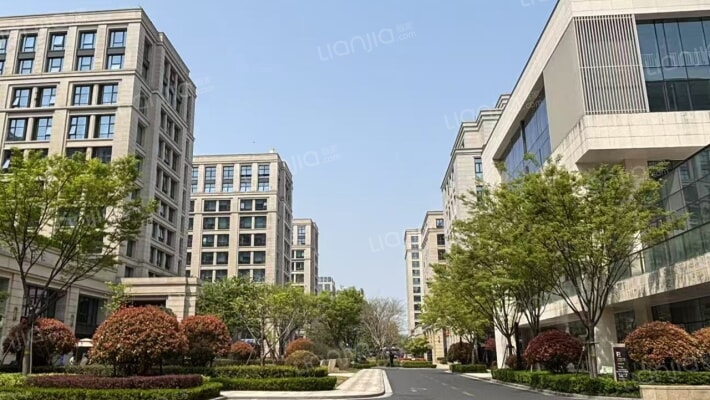 绿城西溪世纪广场外景图