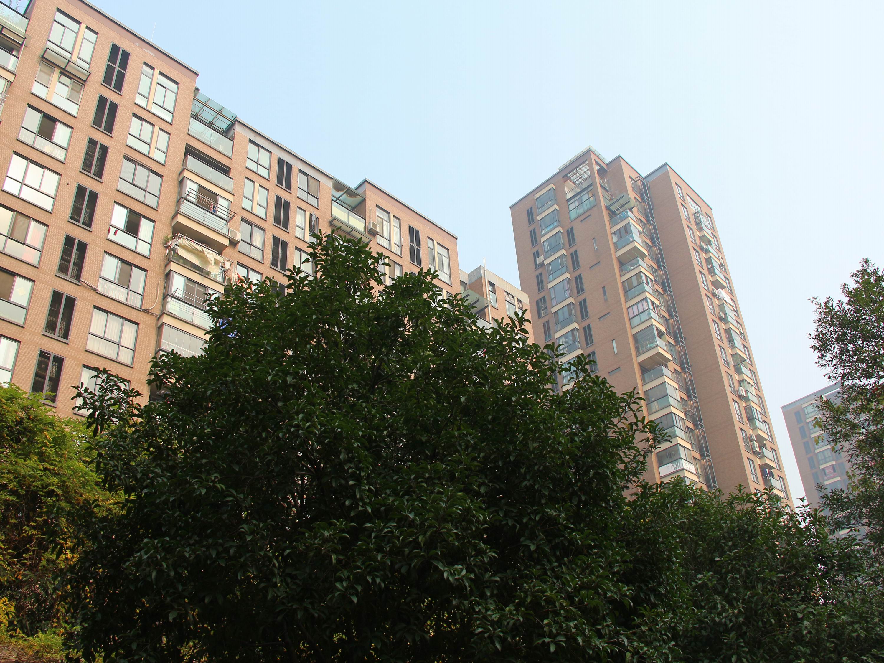 New Century City compound photo 9