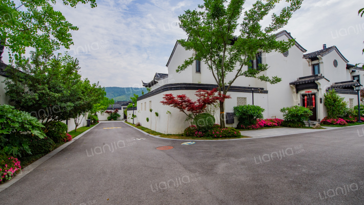 宝华桃李春风外景图