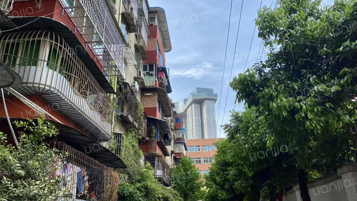 高攀西巷5号外景图