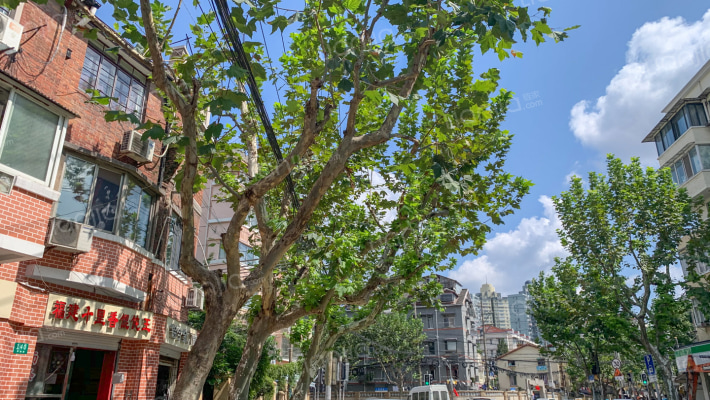 祥德路119号外景图