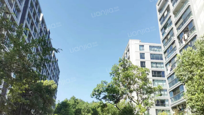 天阳云栖梅林外景图