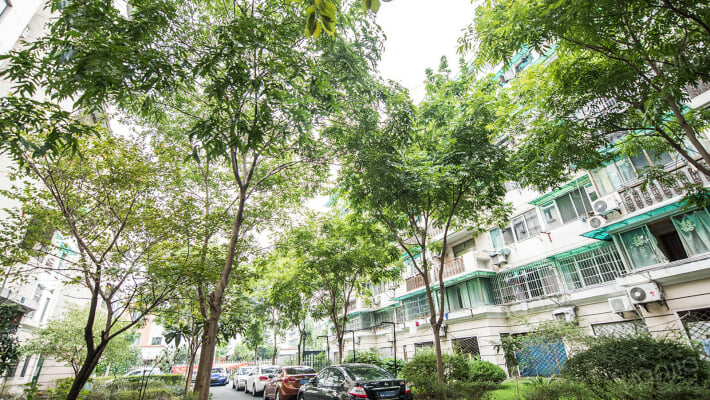 三塘北村外景图