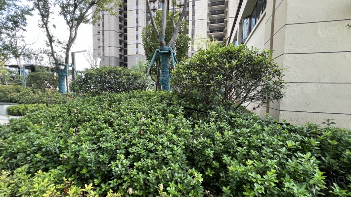 碧桂园西流湖名城八号院外景图