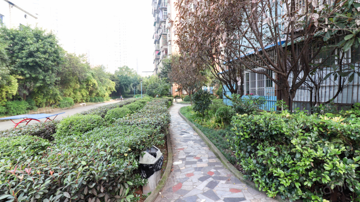 图强村436号外景图