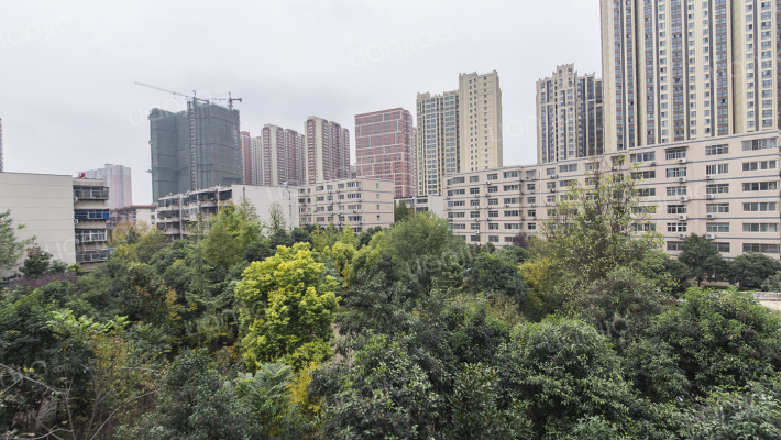 燕乐小区外景图