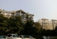 统建同安家园户型图实景图