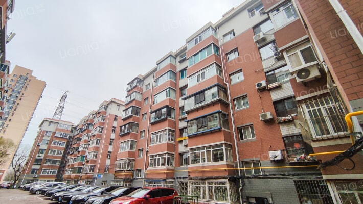 金二小学南外景图