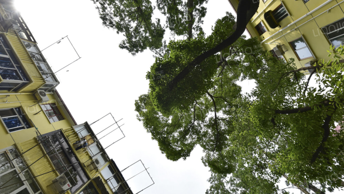 交大农学院家属楼外景图