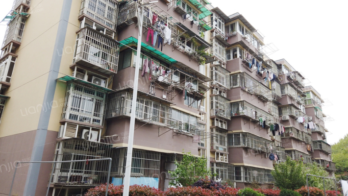 郁金香花苑外景图