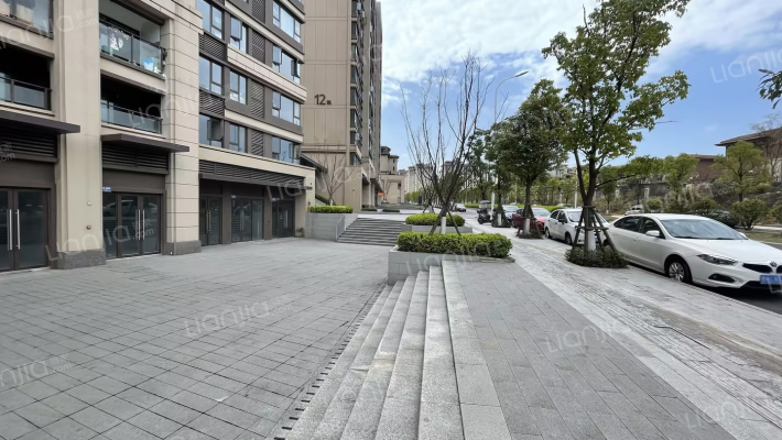 中南菩悦春山居外景图