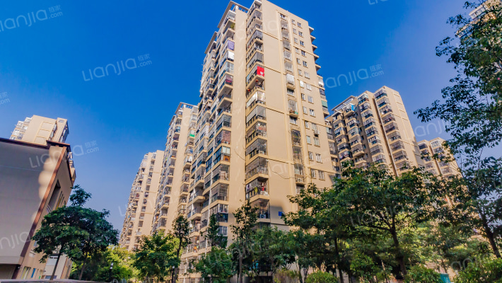 东山新苑二区外景图