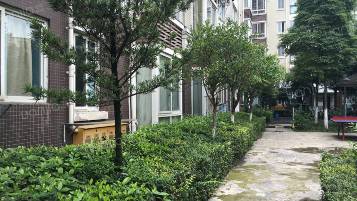 江安逸人居外景图