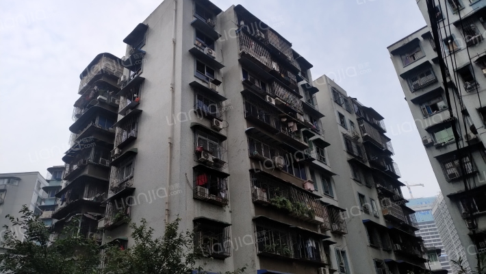 文化村163号外景图