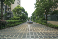 莘松绿嘉园户型图实景图
