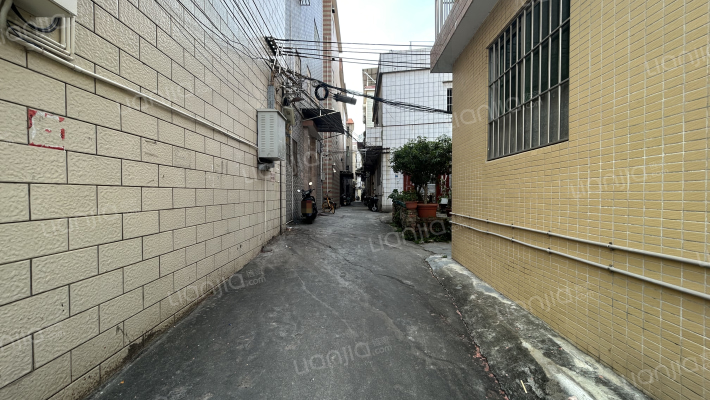 大良单家南江居委会外景图