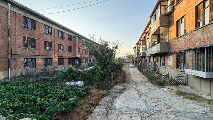 太子务家属楼外景图