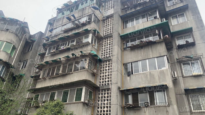 四通东街23号外景图