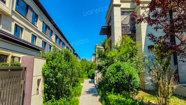 禧瑞春晓外景图