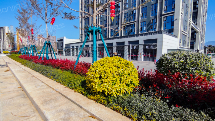 世茂金融街茂悦中心外景图