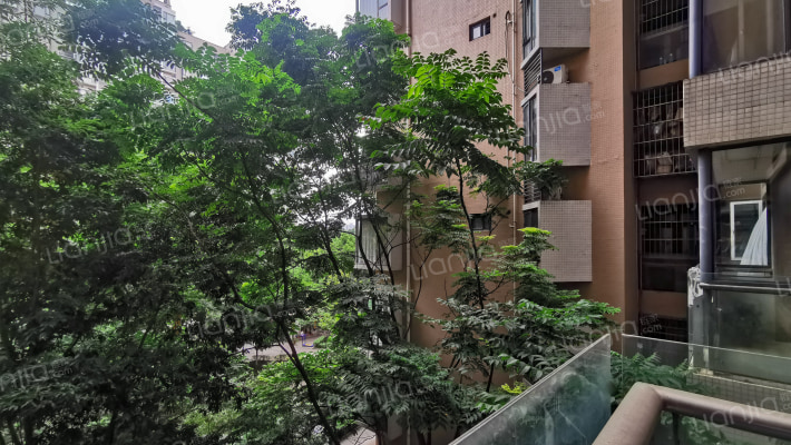 锦西人家二区外景图