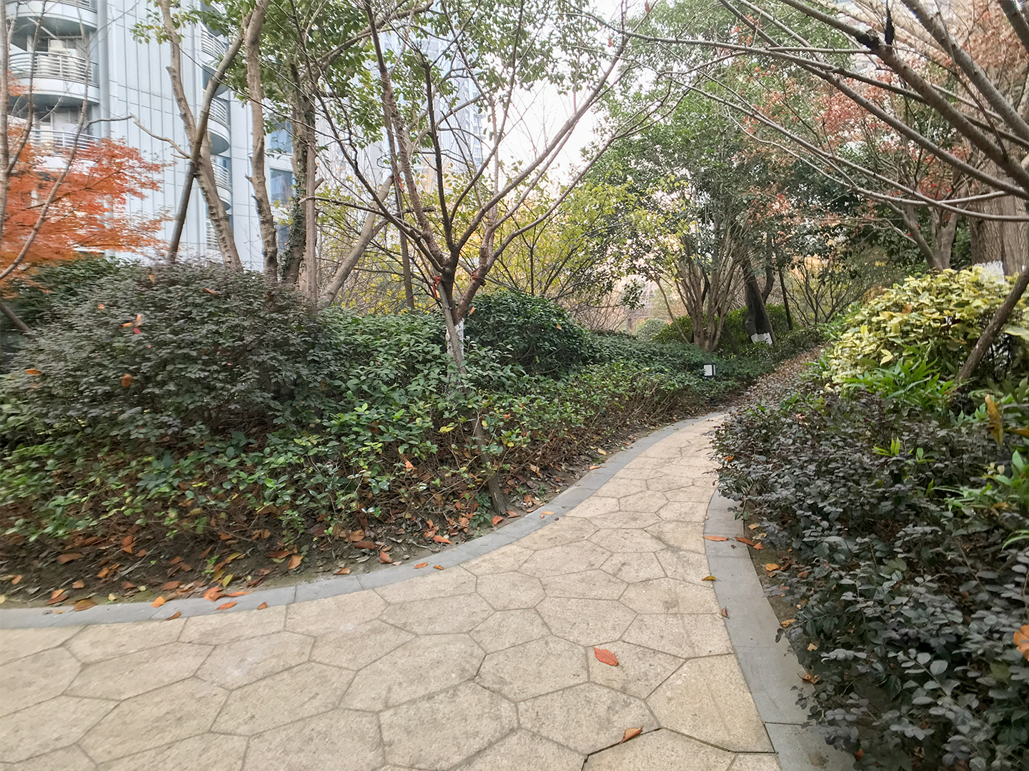 东方御府小区实景 16